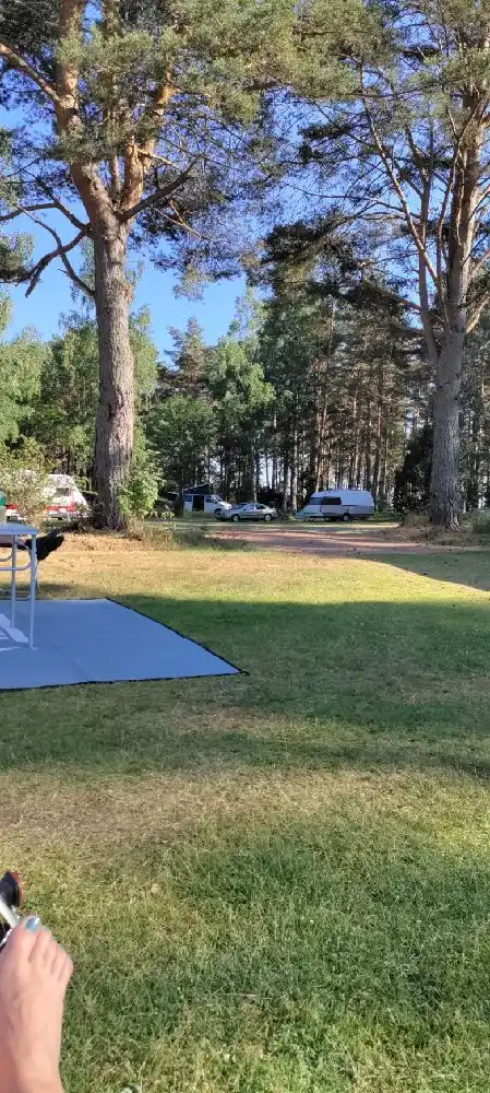 En grön campingplats omgiven av träd med skuggiga områden, där utomhusmöbler är utspridda för besökarnas avkoppling.