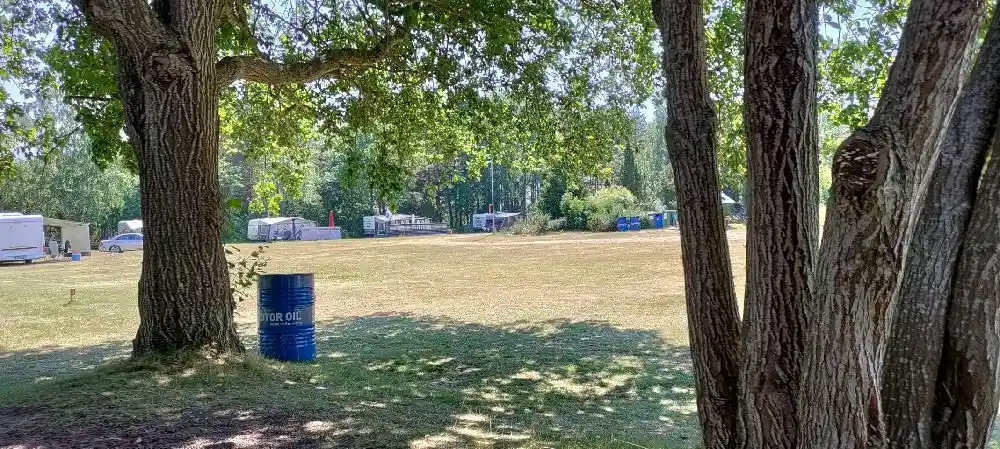 En solig campingplats på Kaffetorpets camping med gröna gräsmattor och skuggiga områden under träden. Husbilar och tält i bakgrunden i en naturskön parkmiljö.