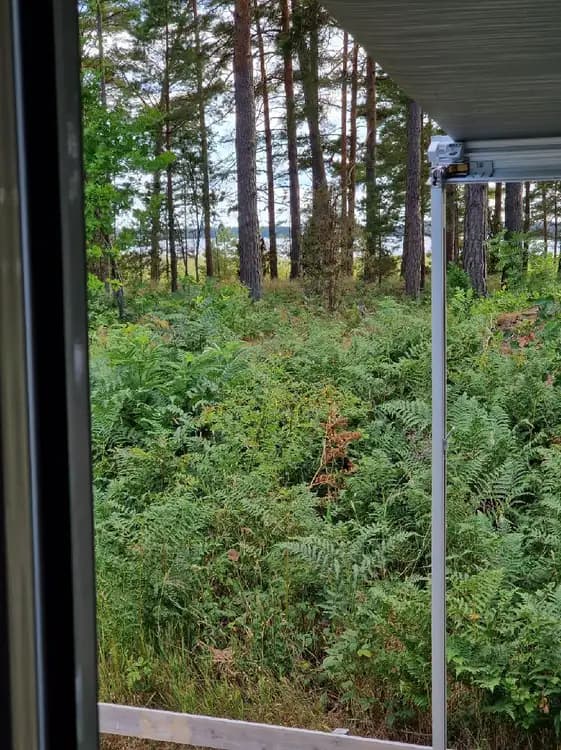 En lummig campingplats omgiven av tät vegetation och buskar, med skuggiga träd och trädgårdsbyggnader i bakgrunden.