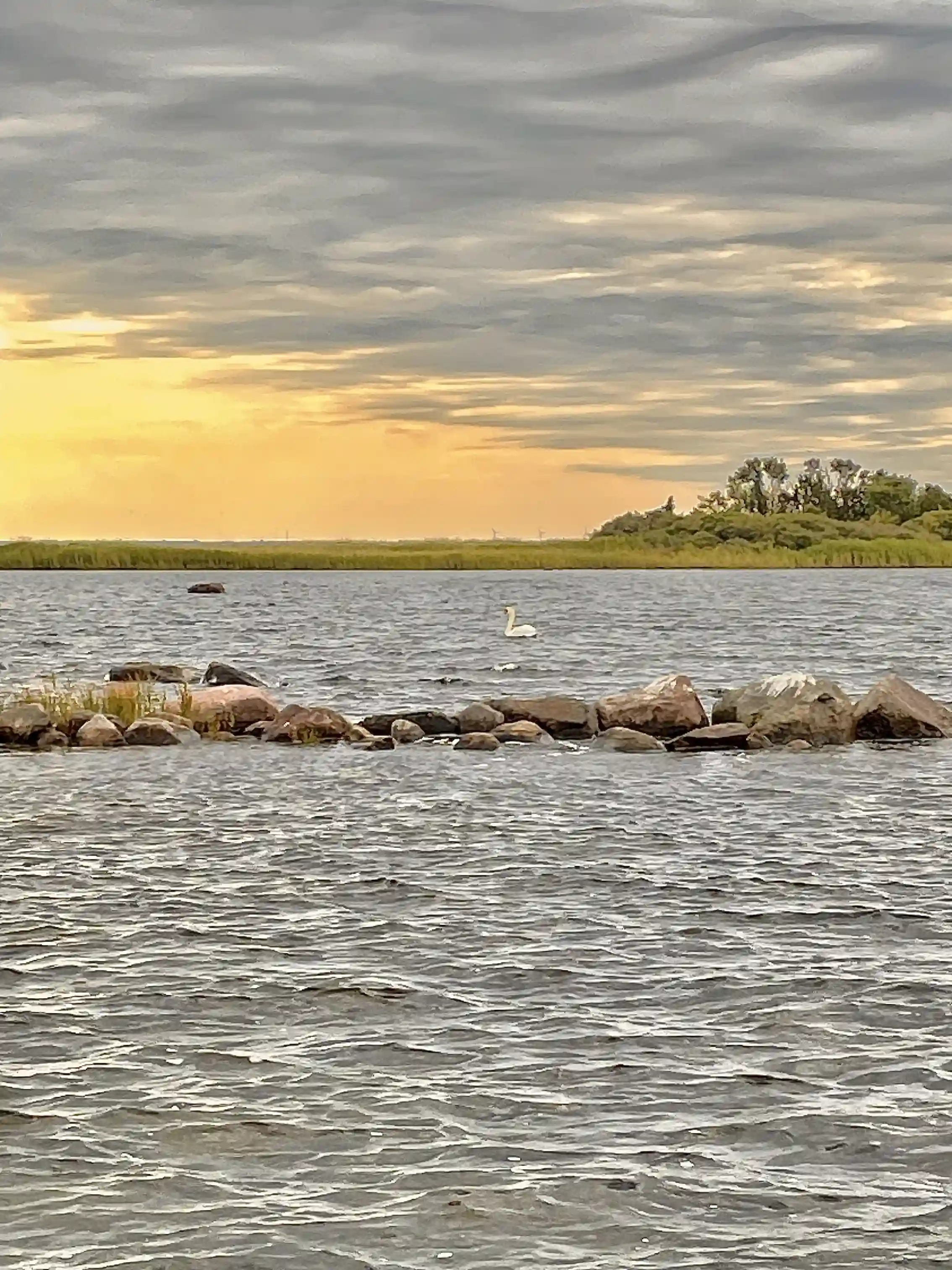 Bild av en stilla sjö med molntäckt himmel vid Kaffetorpets camping.