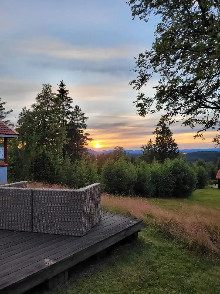 En solnedgång över ett öppet landksap vid Åsengården, med mjukt kvällsljus som filtreras genom höga barrträd och omger en välskött park.