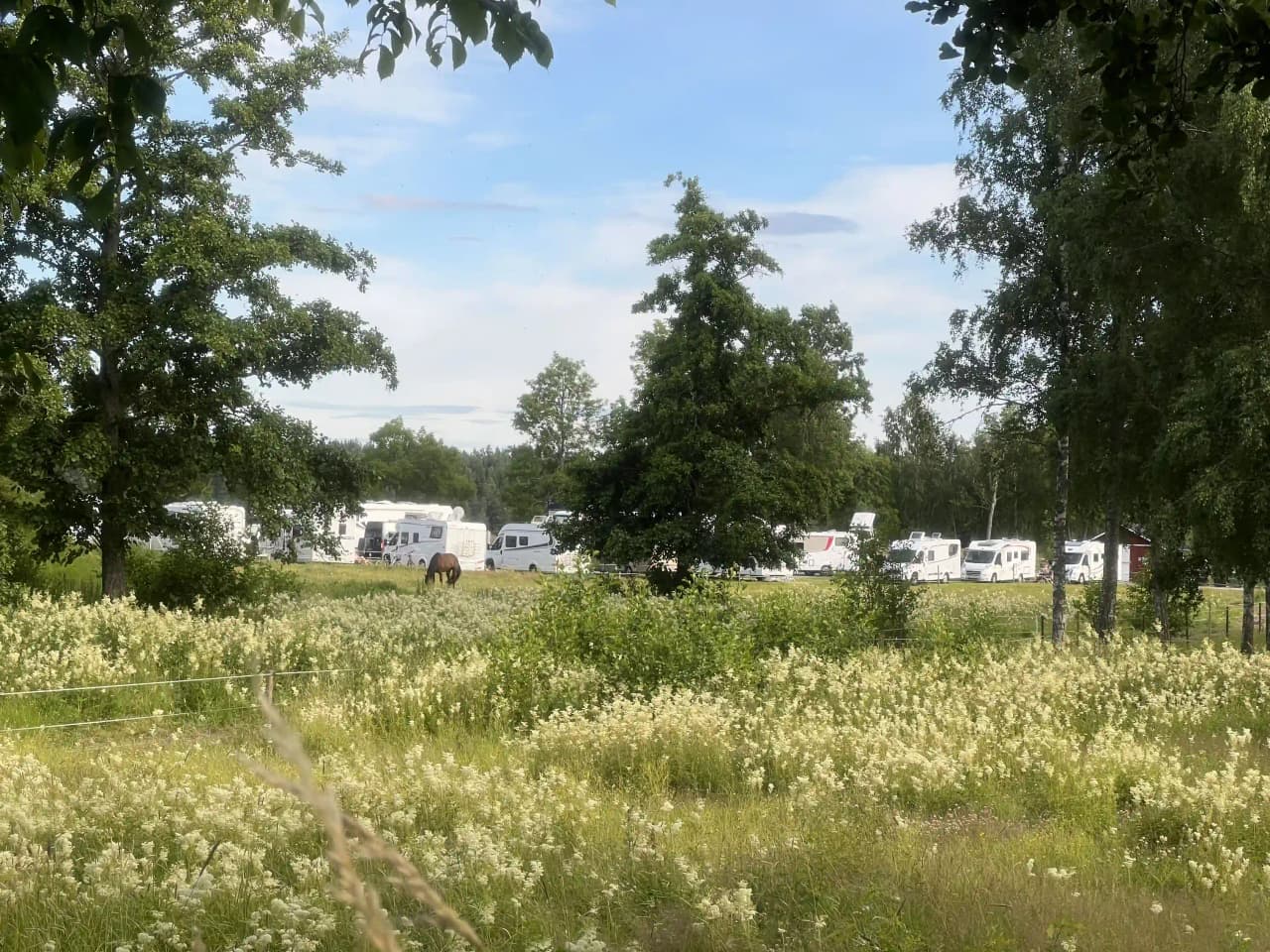 Bild som visar Upperuds Gästhamn, omgiven av frodig grönska. Gräsmatta och buskar dominerar förgrunden, medan träd och växtlighet sträcker sig mot bakgrunden, vilket skapar en idyllisk och naturskön hamnmiljö.