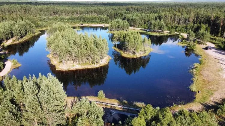 En rofylld sjö omgiven av grönskande natur i Mora, perfekt för vildmarksfiske.
