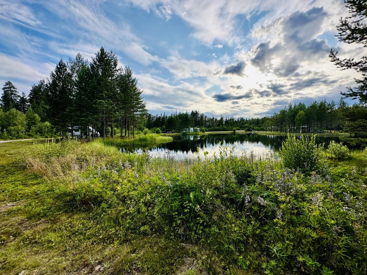 Bild av vildmarksfisket i Mora med blå himmel och moln, omgiven av grönskande träd och växtlighet.
