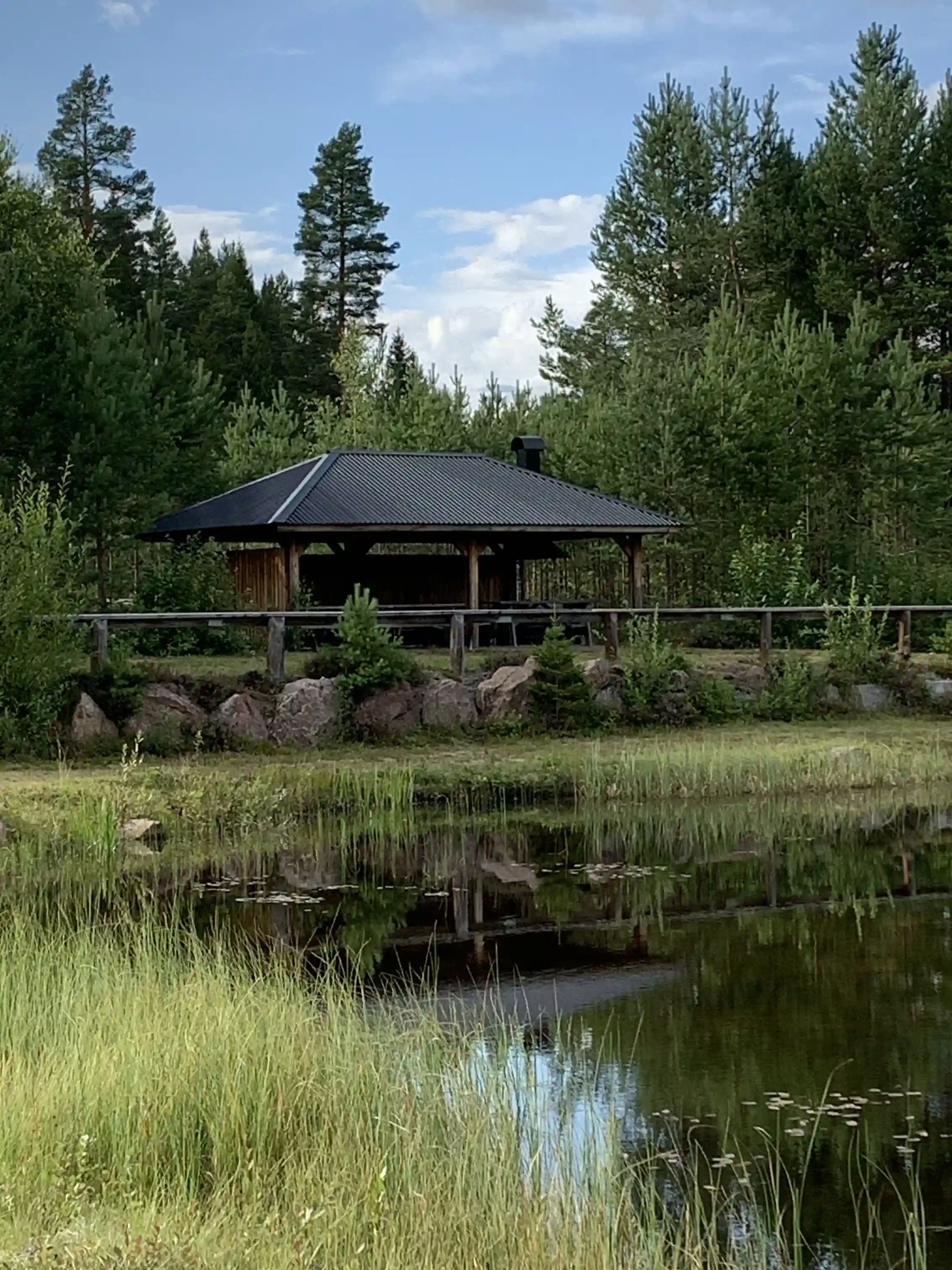 En bild av vildmarksfisket i Mora som visar en frodig naturmiljö med tät skogsvegetation och en våtmark. I förgrunden syns en liten paviljong vid strandkanten, omgiven av den lugna och orörda naturens skönhet.