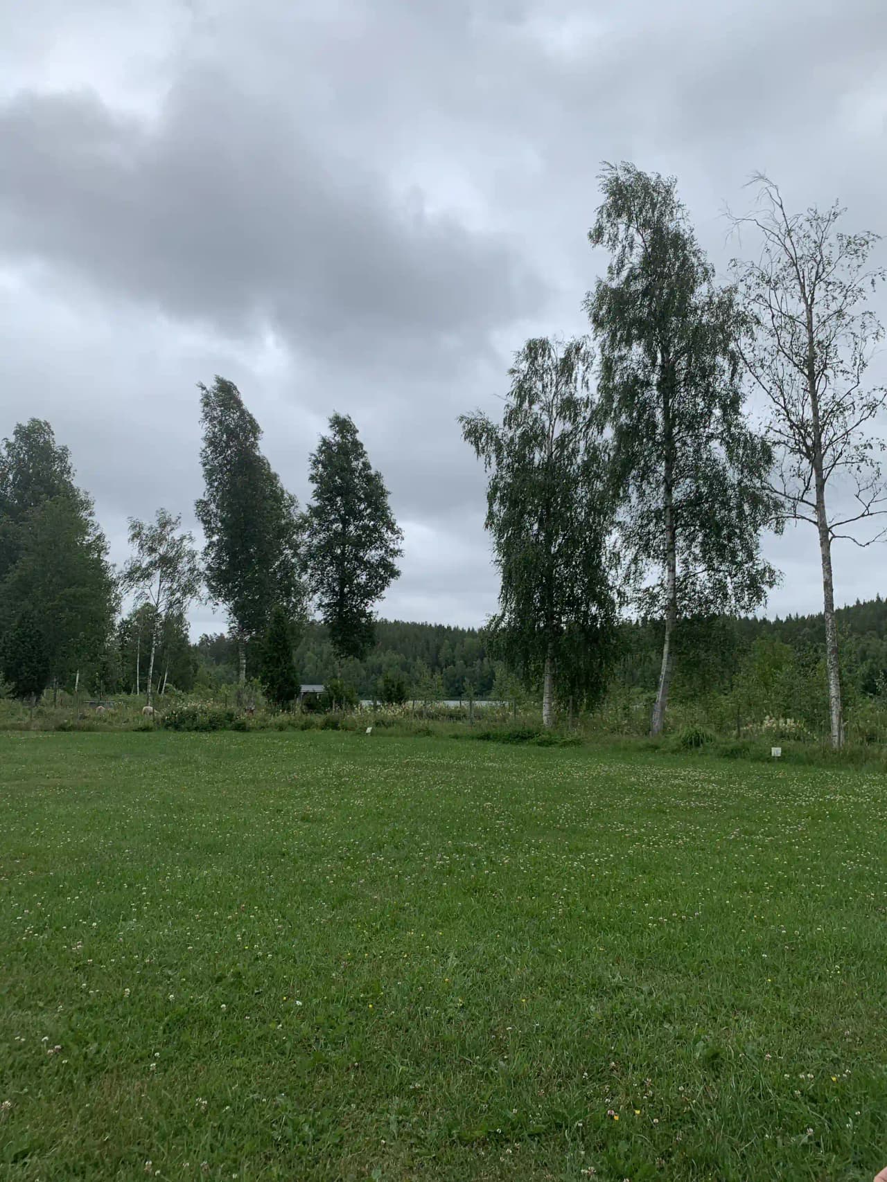 En vidsträckt äng med frodig grönska, omgiven av träd under en molnig himmel vid Amundebo Södergård.