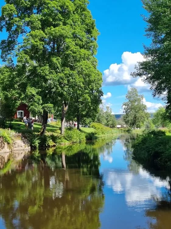 Bild av Badsta Camping, en naturskön plats med gröna träd och växtlighet vid en vattenkälla. En harmonisk miljö som bjuder in till avkoppling och rekreation nära naturen.