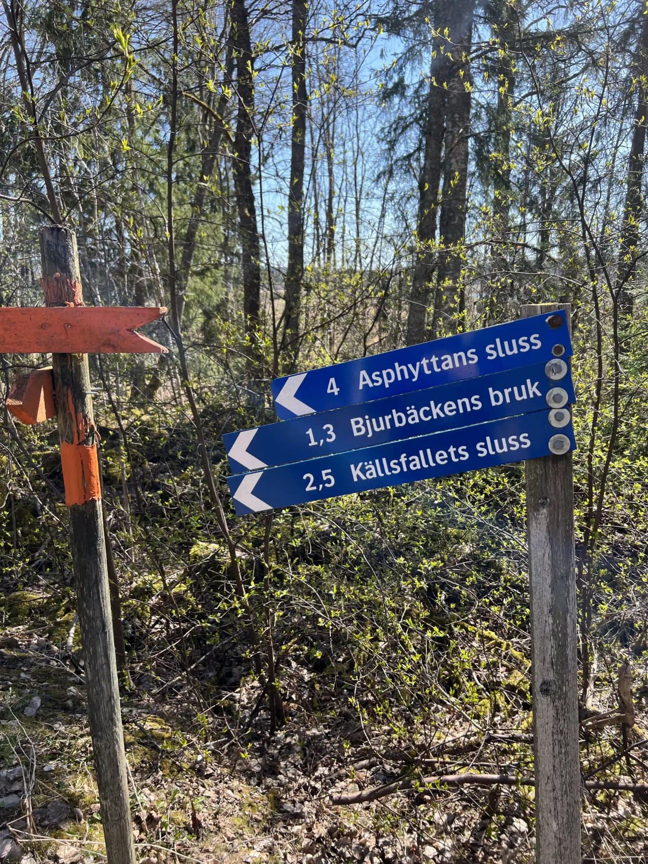 En välkomnande träskylt med text står vid ingången till Badsta Camping, omgiven av lummig skog.