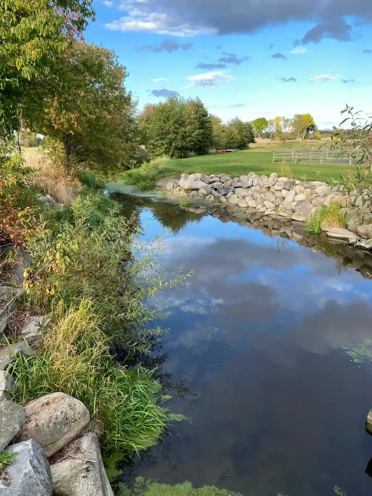 En vacker vy över ett grönt landskap med en sjö vid Kedumsvik ställplats, omgiven av lummiga växter och naturlig omgivning.