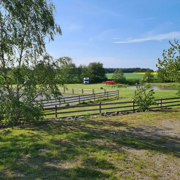 En grön ställplats vid Kedumsvik med frodig gräsmatta, omgiven av träd och ett traditionellt trästaket.