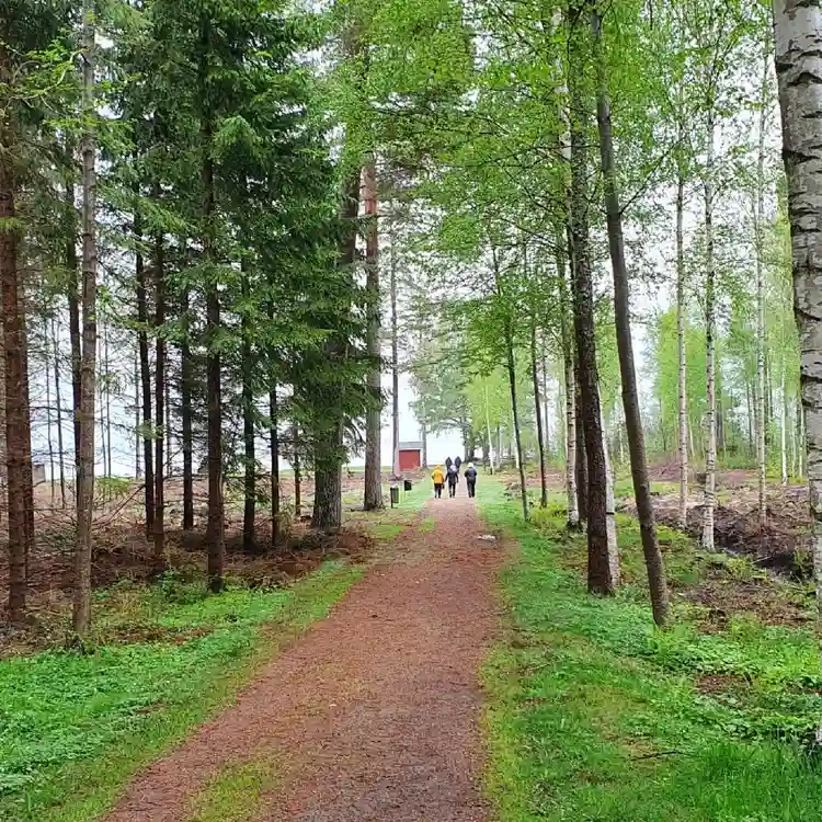 En naturskön bild av en skogsstig omgiven av täta träd och grönska, vilket skapar en inbjudande miljö för friluftsliv och rekreation vid Otterbergets bad och camping.