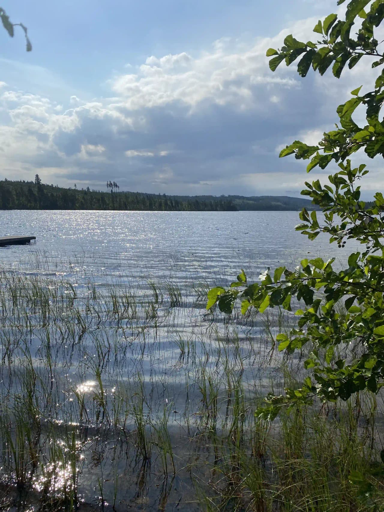 En klarblå sjö omgiven av grönskande natur under en molnig himmel vid Lesjöbyns camping.