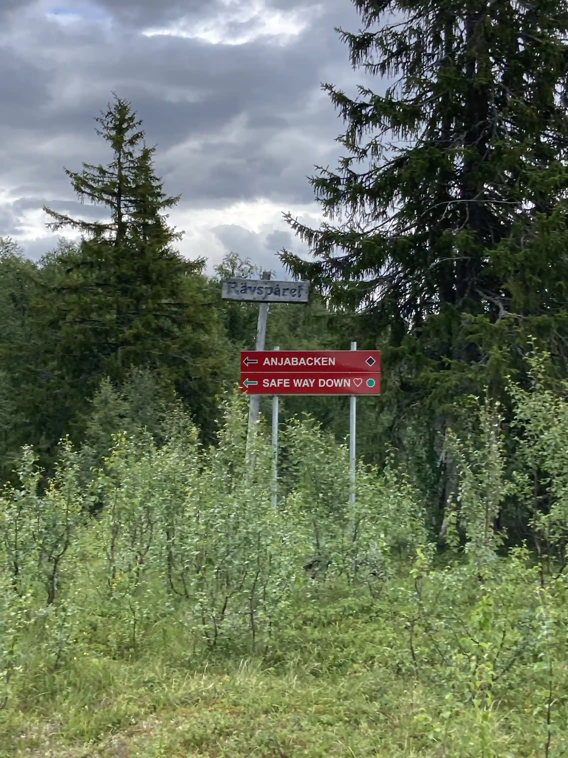 En träskylt vid Tärnaby Camping omgiven av tät skog med barrträd i en naturskön miljö.