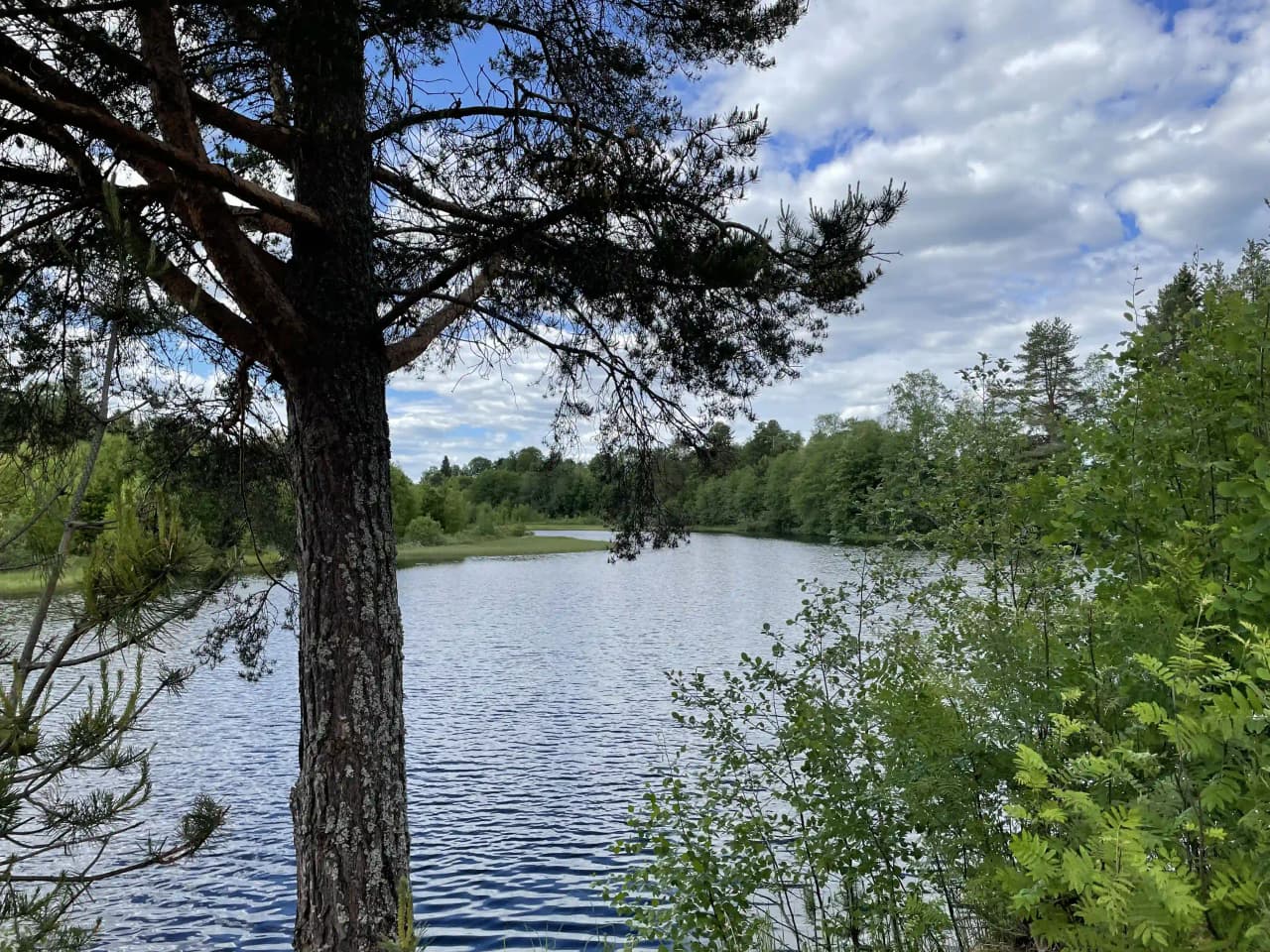 En stilla flod ringlar genom ett naturskönt landskap vid Våmåbadets camping, omgiven av frodig grönska och klarblå himmel.
