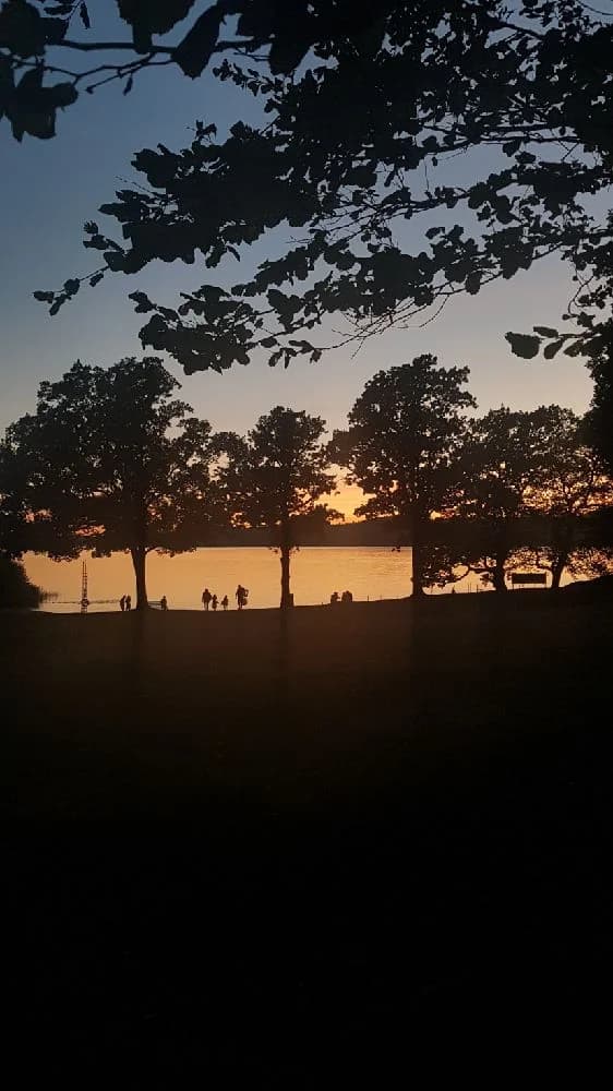 En vacker solnedgång över Lövekulle camping med grenar och löv i förgrunden, där himlen skiftar i orangea och rosa toner.