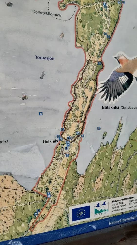 Karta över Hofsnäs Herrgårds omgivningar, med markerade vägar och sevärdheter.