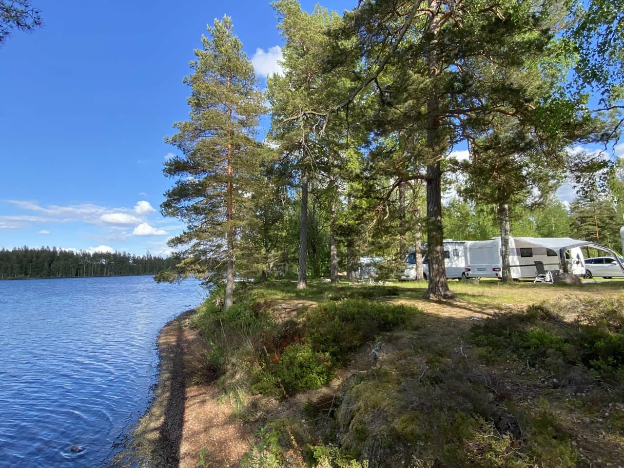 En naturskön campingplats vid sjön med barrskog i bakgrunden.