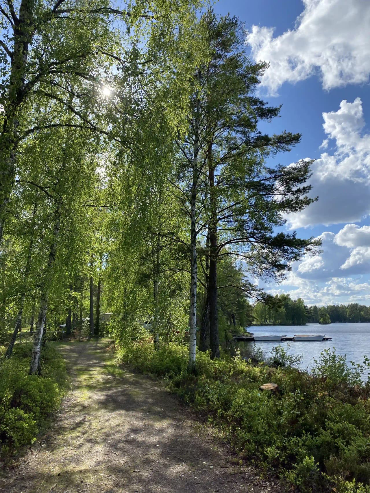 En grön och frodig campingplats vid vattnet med träd och växtlighet som omger en lugn sjö i Orrefors.