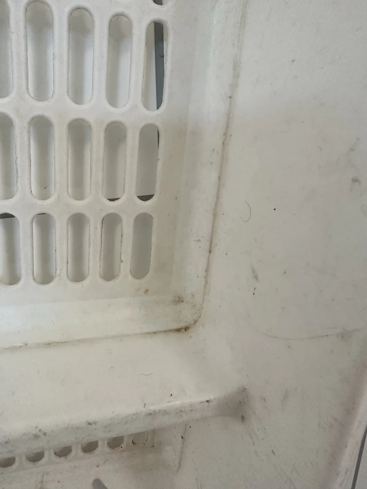 En glänsande, modern husvagn är parkerad på en naturskön campingplats omgiven av grönskande skog och klarblå himmel på Orrefors camping.