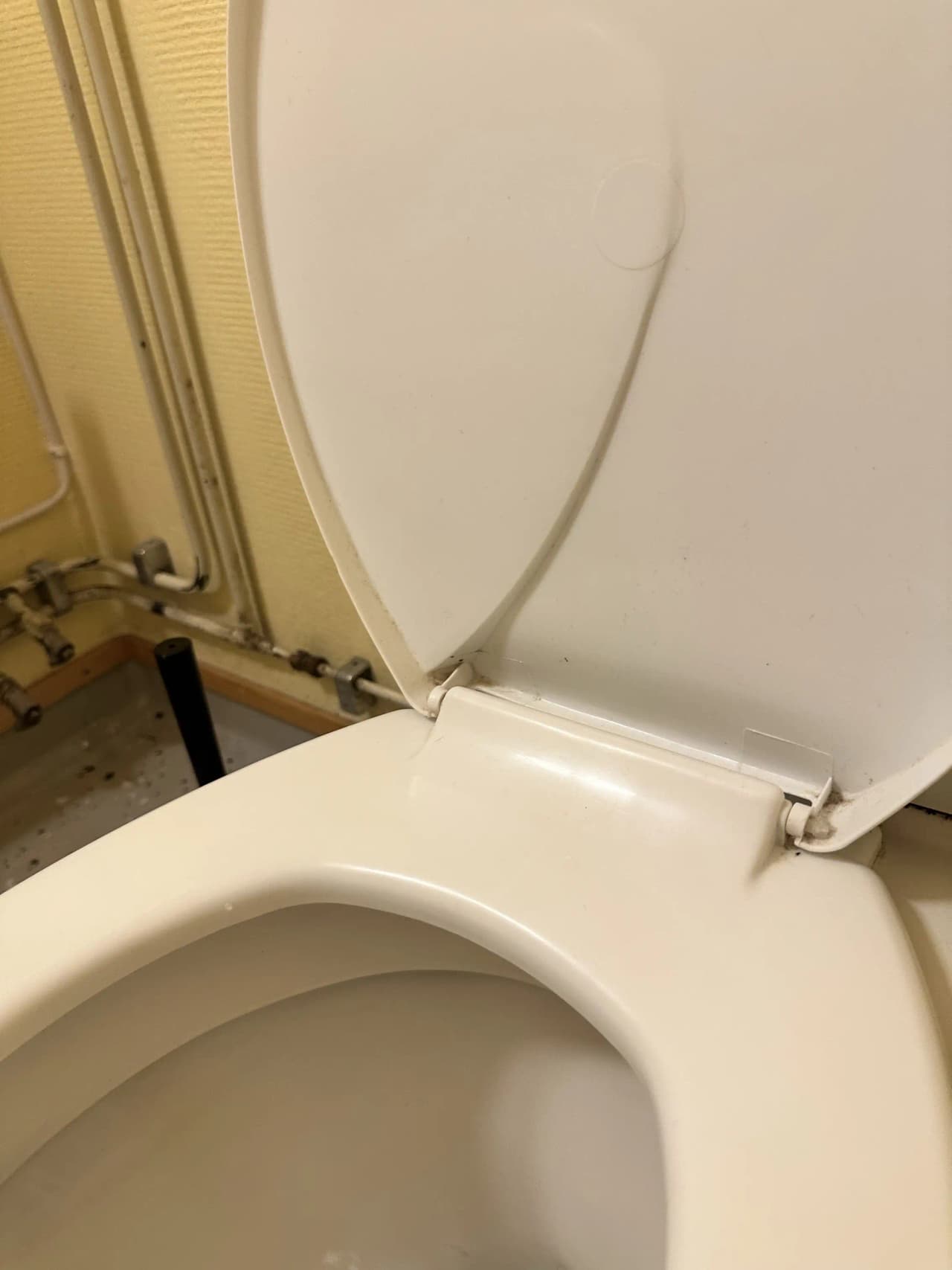 En ren och välskött allmän toalett på Orrefors camping, med keramisk toalettstol och kakelgolv.