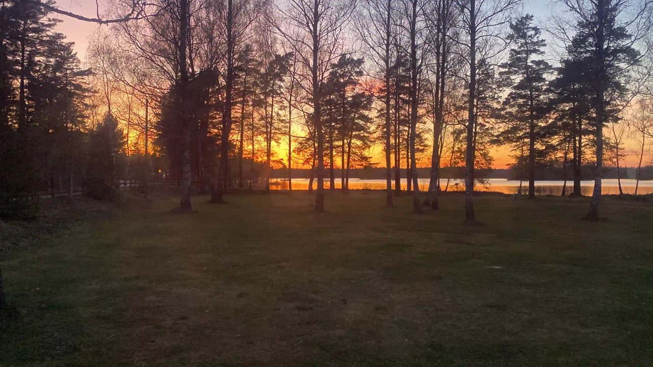 Ett naturskönt landskap vid Orrefors Camping med träd i förgrunden, en soluppgång eller solnedgång som färgar himlen i varma toner och sommargrönska som omger platsen.