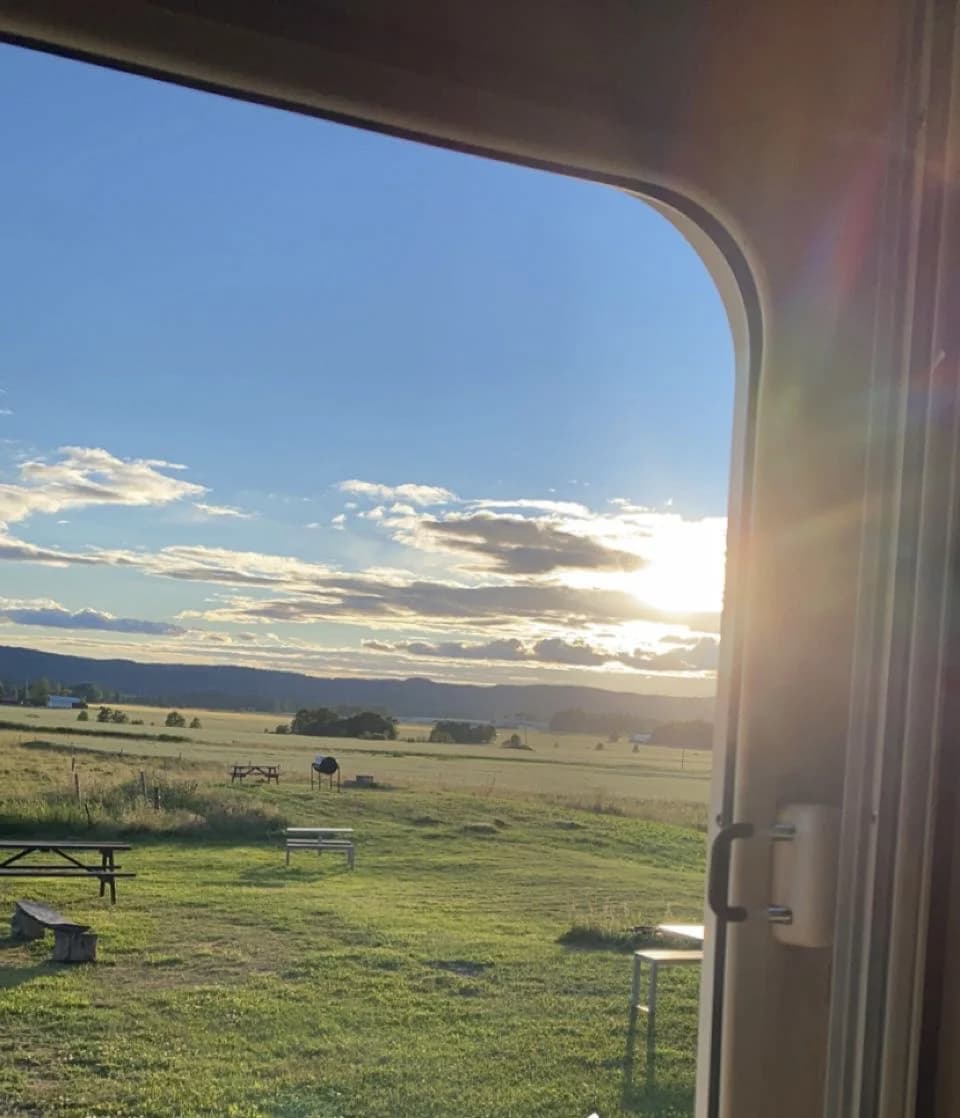 En vidsträckt gräsmark med en klar blå himmel ovanför, belyst av mjukt morgonljus vid Gustavsvik Resort.