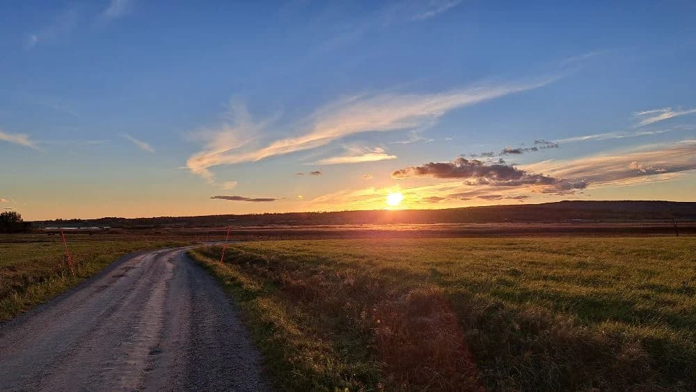 En vacker solnedgång över Gustavsvik Resort med en väg som sträcker sig mot horisonten, omgiven av ett öppet landskap och moln i skymningen.