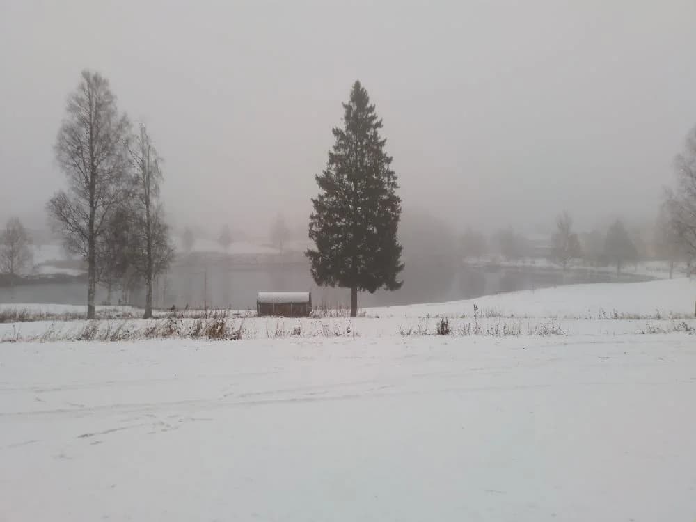 En snöig och dimmig vinterdag vid Bygdsiljums camping, med frosttäckta grenar och tät dimma som skapar en kylig och trolsk atmosfär.