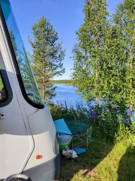 En husvagn står parkerad på en gräsmatta med utemöbler bredvid, omgiven av gröna träd vid Meselefors camping.