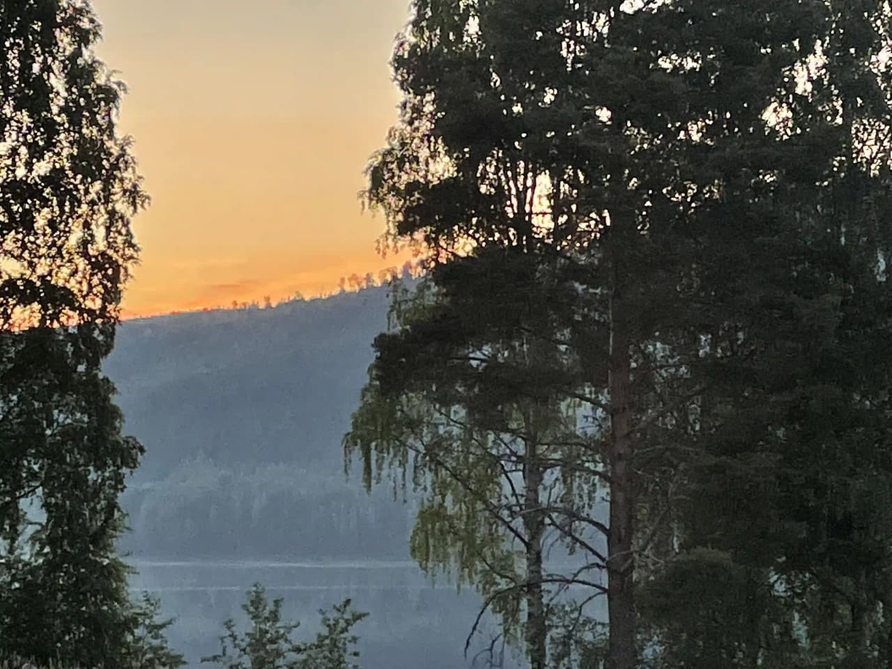En fridfull kvällsvy över Hammarstrands camping, omgiven av skog och natur. Trädgrenar sträcker sig in i bilden medan mjuka atmosfäriska ljus skapar en rofylld känsla i den naturliga omgivningen.