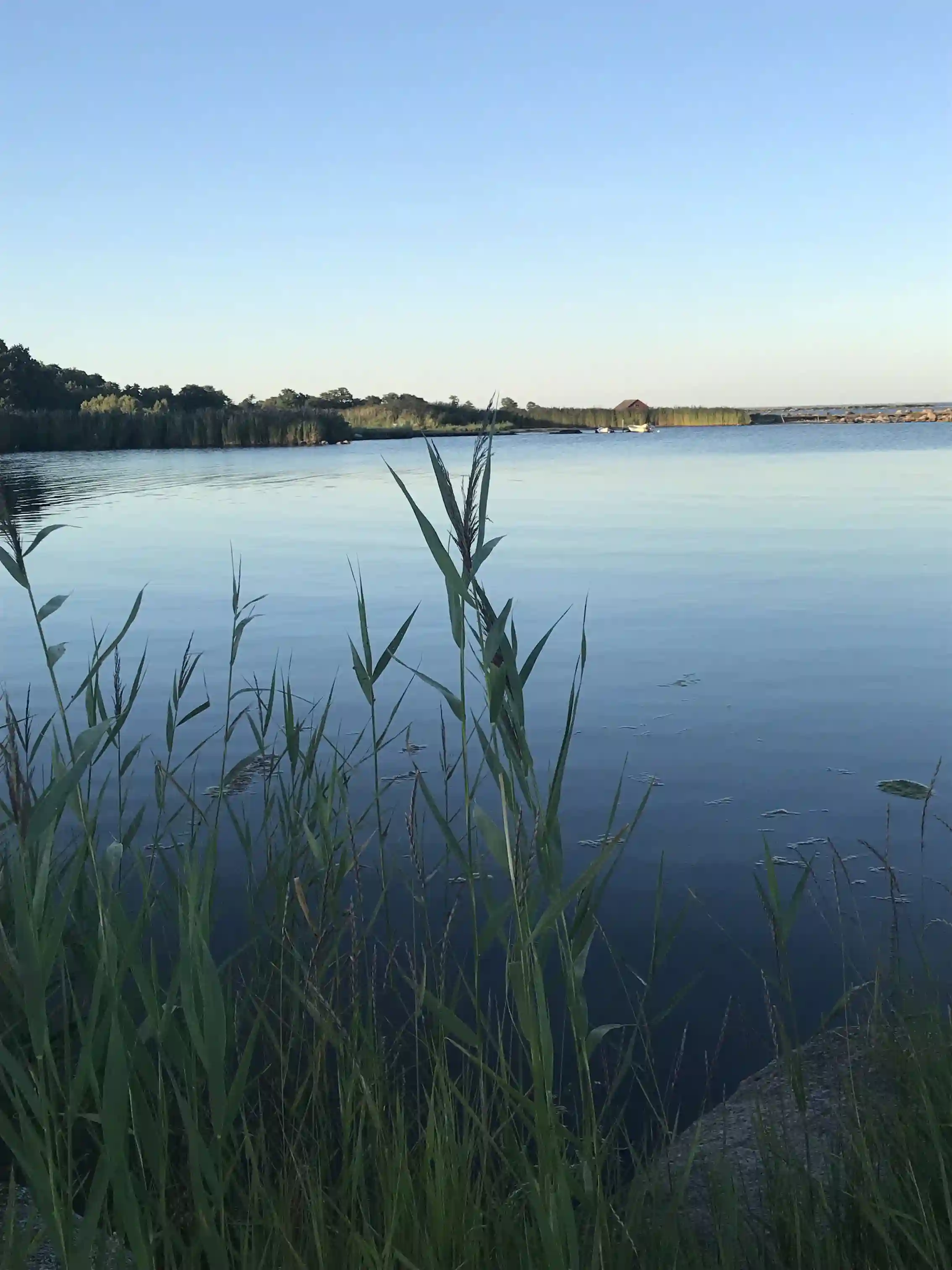 En idyllisk vy över Björkenäs camping med klarblått vatten och vidsträckt horisont, omgiven av grönska och naturlandskap.