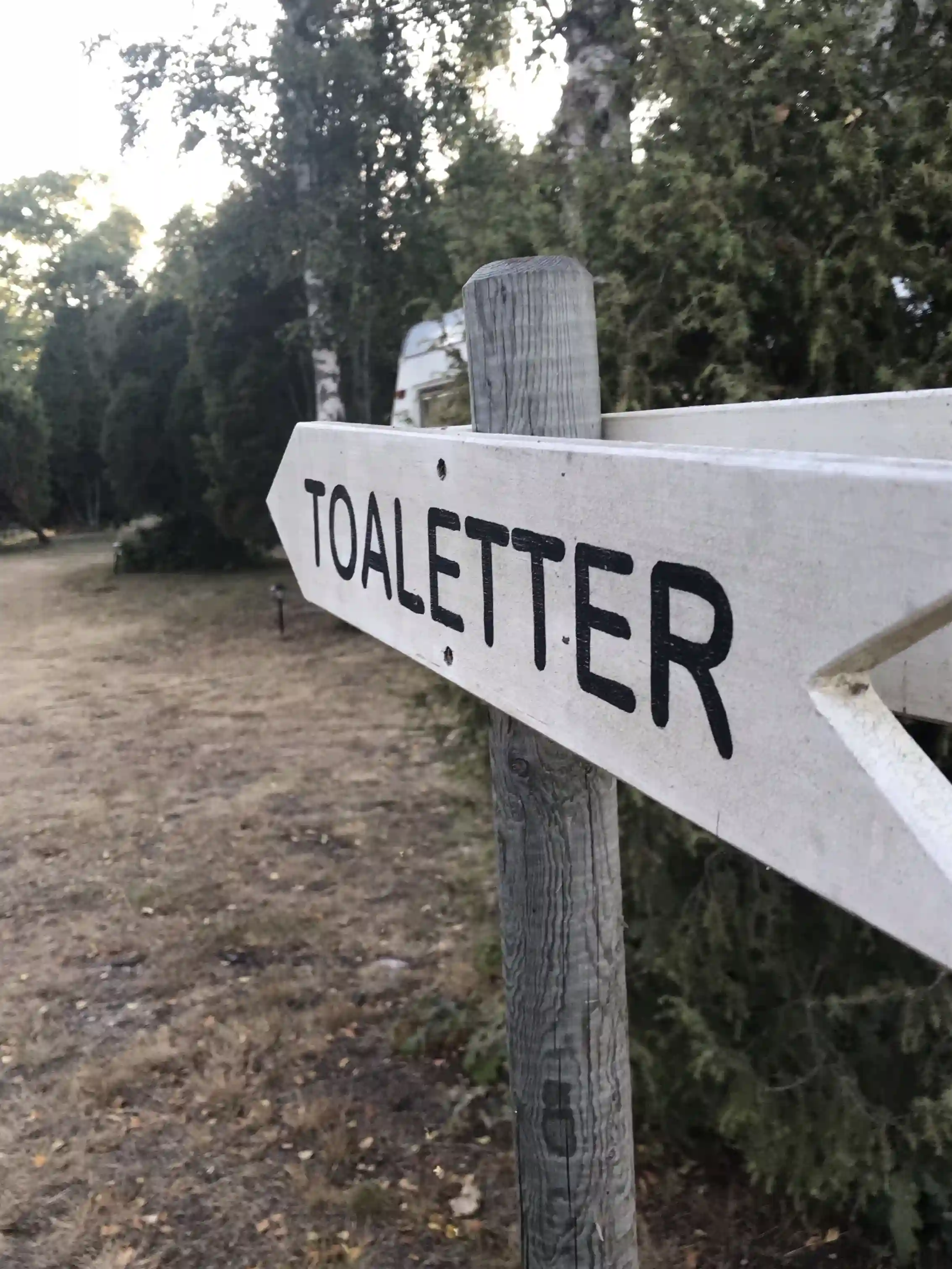 Bild av en gatunamnsskylt som visar vägen till Björkenäs Camping, omgiven av grönska.