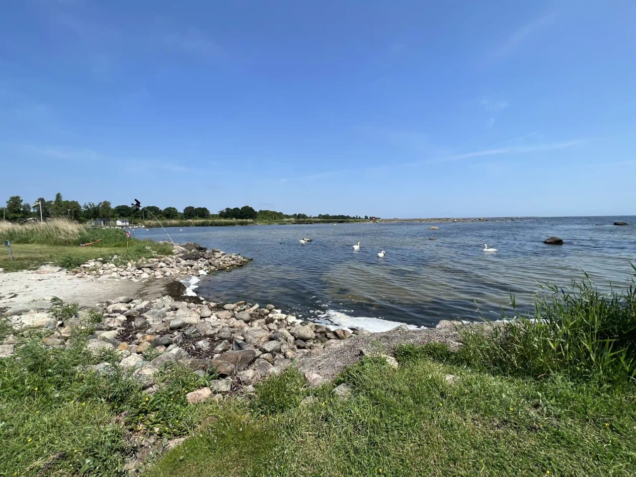 Utsikt över kusten vid Björkenäs Camping med vatten, strand och en tydlig horisontlinje.
