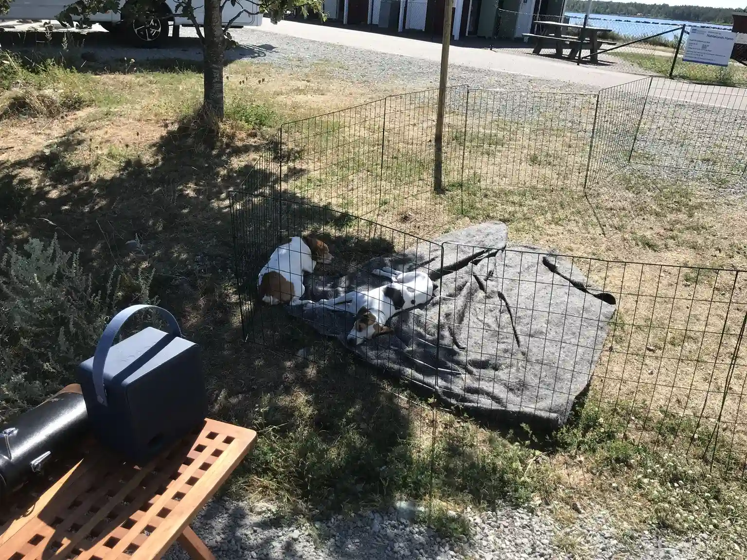 En grönskande gräsmatta vid Böda Hamns Camping, omgiven av träd och buskar som skapar en avkopplande atmosfär i campingens trädgårdsmiljö.