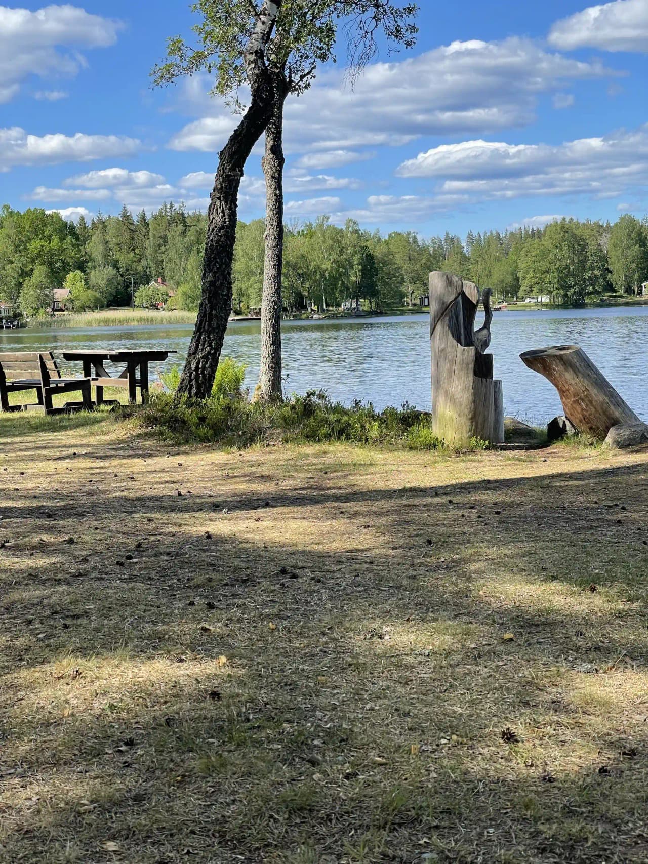 En trädbeklädd strand vid Uvaparken ställplats, med en bänk under skuggan av grenarna intill en lugn sjö.