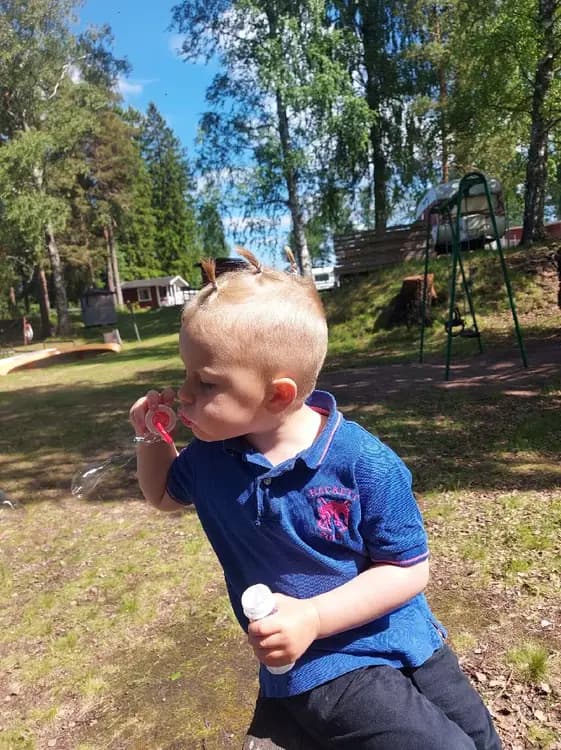 En glad barngrupp som leker i en park på Horndals Bad & Camping, omgivna av grönska och lekutrustning.