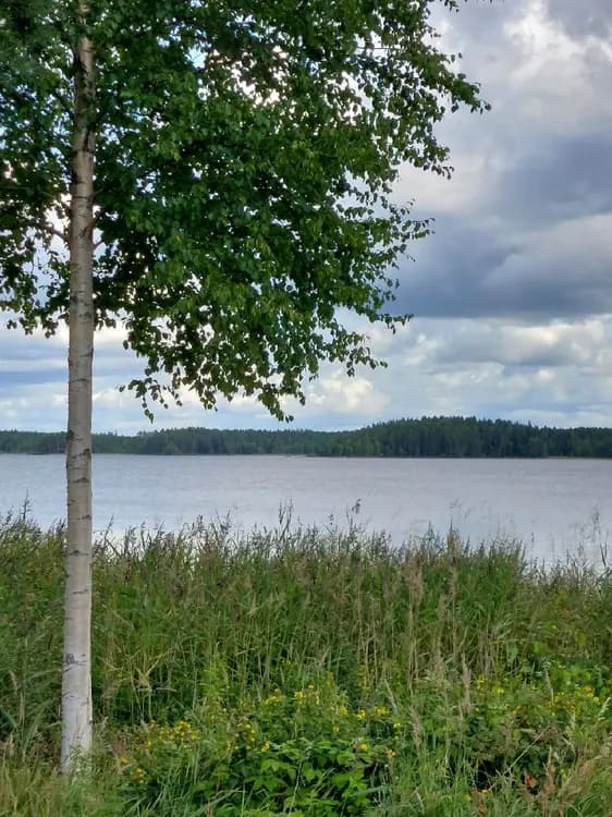 En somrig landskapsbild vid Horndals bad & camping. Moln pryder himlen och grönska kantar sjön.