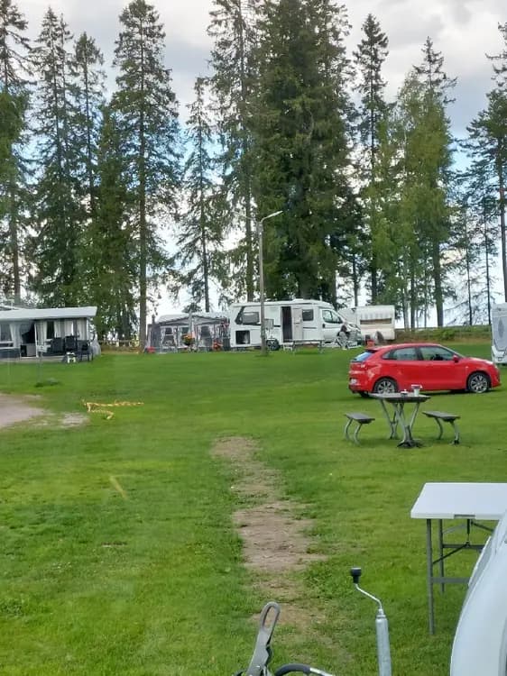 En grön campingplats med husvagnar, omgiven av en välskött gräsmatta och skogsmark, vid Horndals bad & camping.