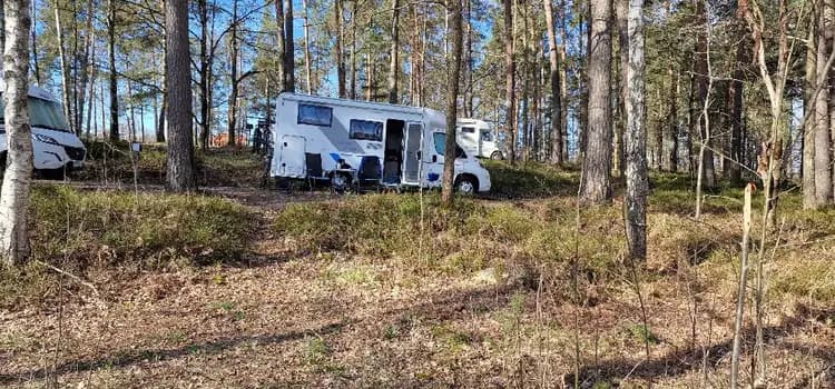 En grupp husbilar och husvagnar parkerade på Joelskogens camping & ställplats, omgivna av lummig skog och grönska.