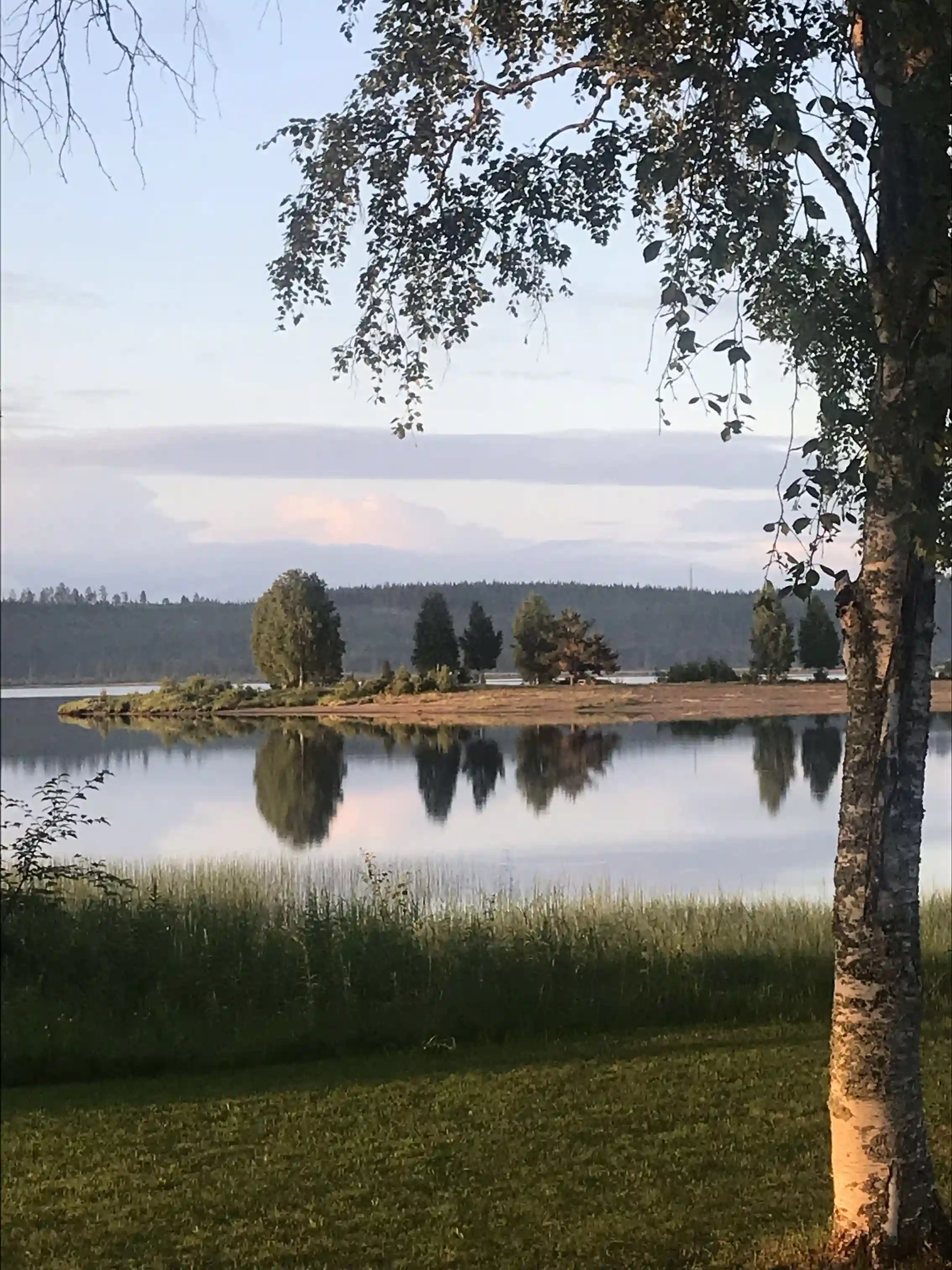 En sjö omgiven av grönskande träd och naturlandskap vid Särna camping.