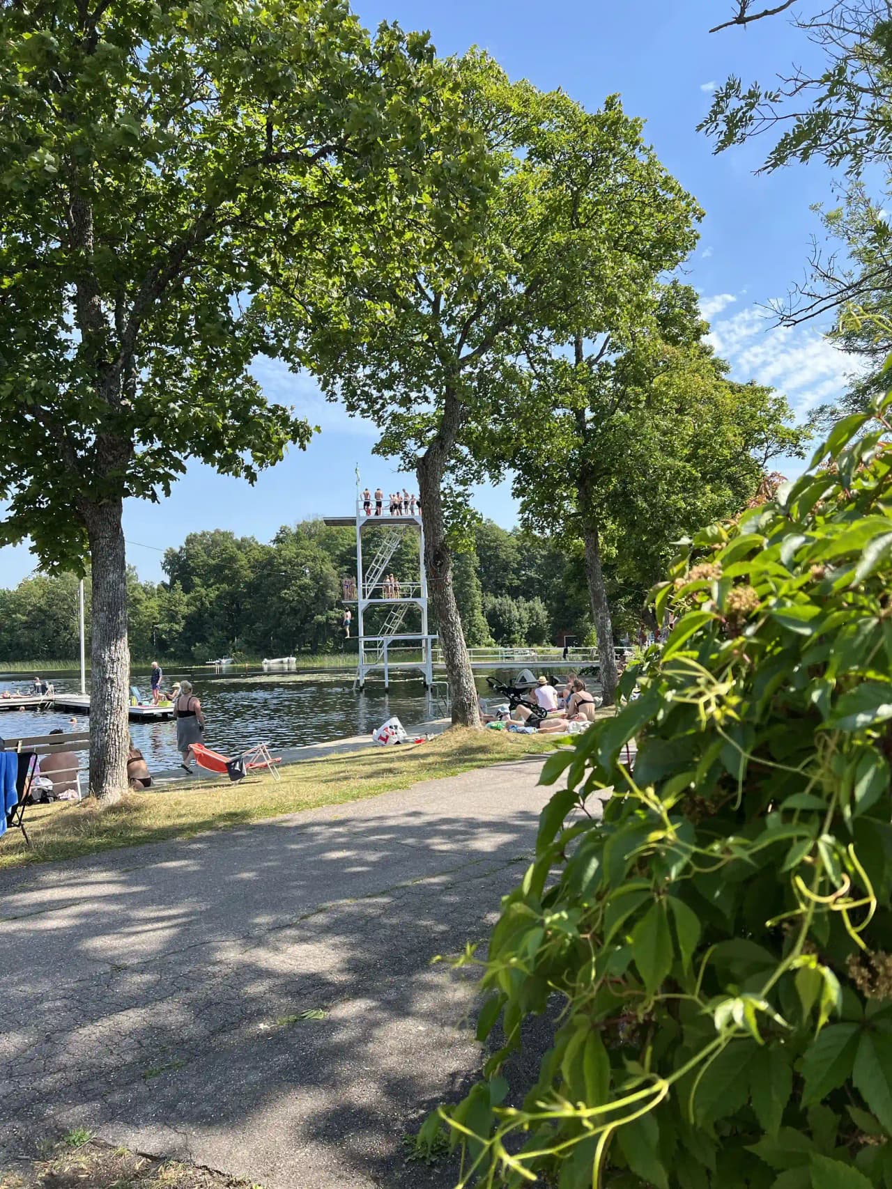 En grupp cyklar står parkerade vid en grön trädkant nära en vattenväg på Simbadets camping, med en sjö synlig i bakgrunden.