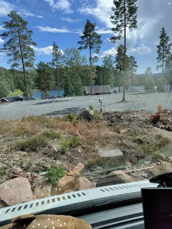 En naturskön vy över Måvikens camping & naturområde med täta barrskogar och grönskande granar och tallar som sträcker sig mot en klarblå himmel.