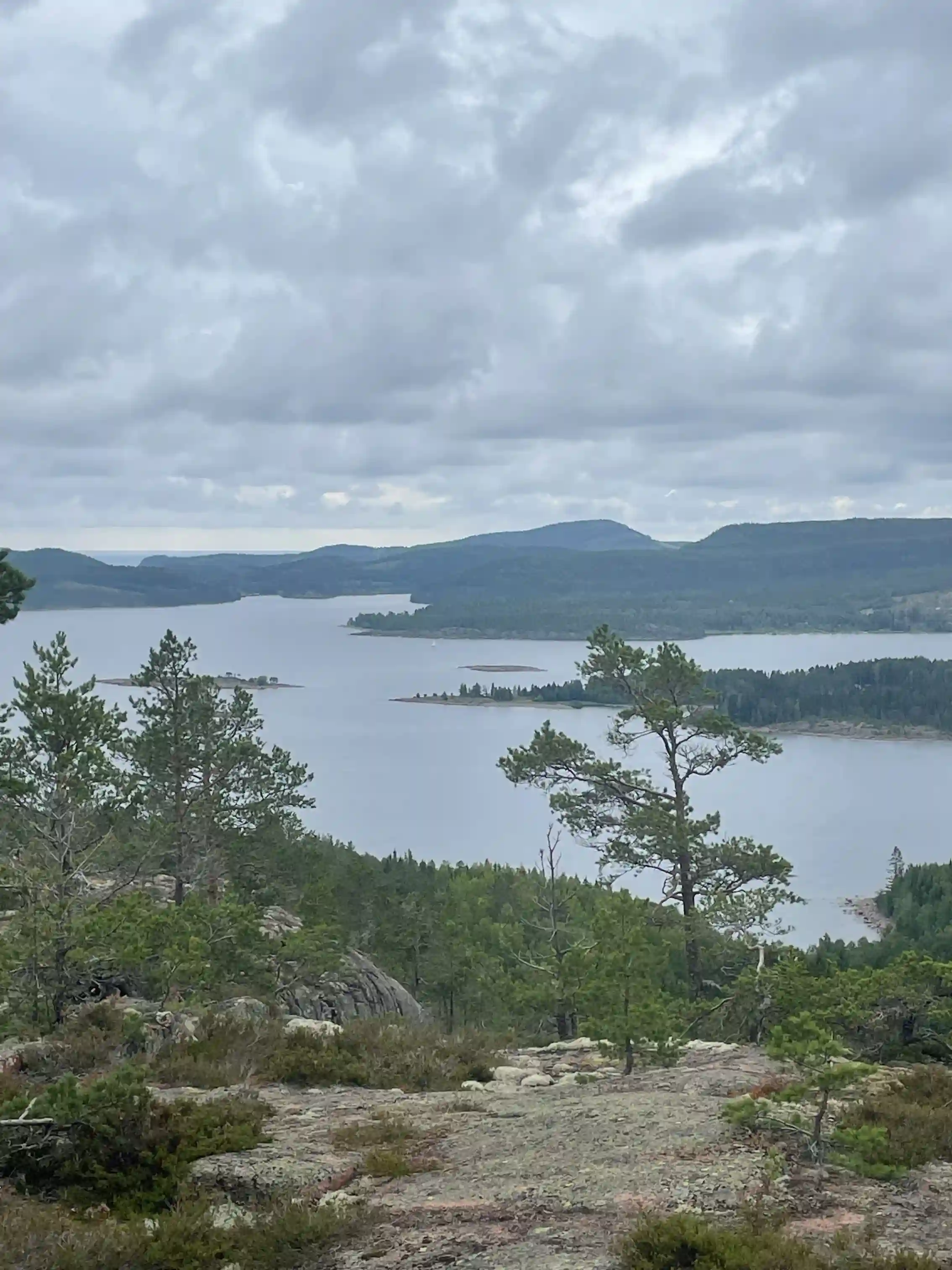 Vy över Måvikens camping & naturområde med en insjö som omges av skog. I bakgrunden syns berg och kustlinjer.