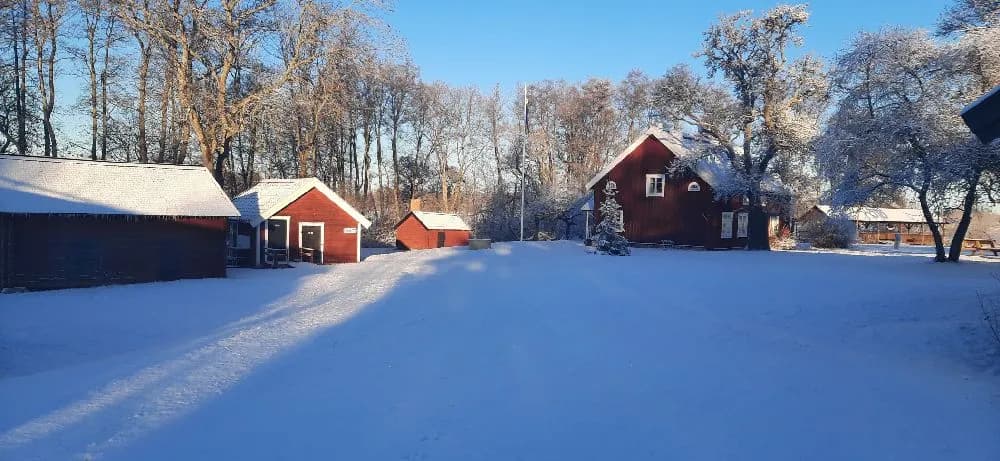 En snötäckt hembygdsgård omgiven av trädgrenar. Ett traditionellt hus med ett sluttande tak står i centrum, inbäddat i det vinterklädda landskapet.