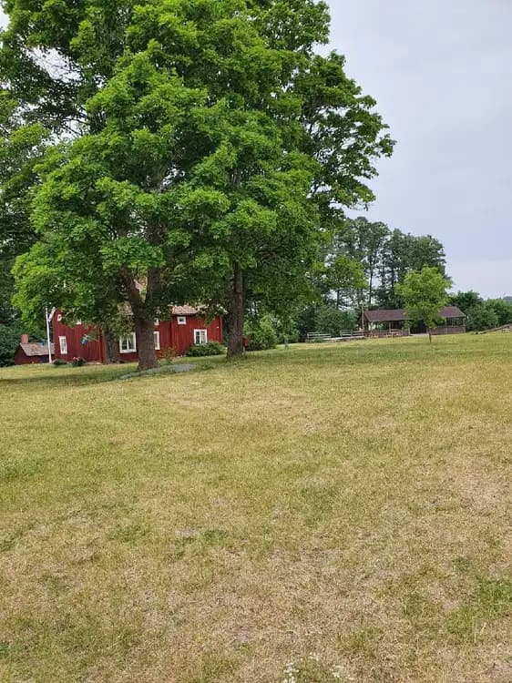 En grönskande hembygdsgård med stora träd, välskött gräsmatta och ett lantligt hus i bakgrunden.