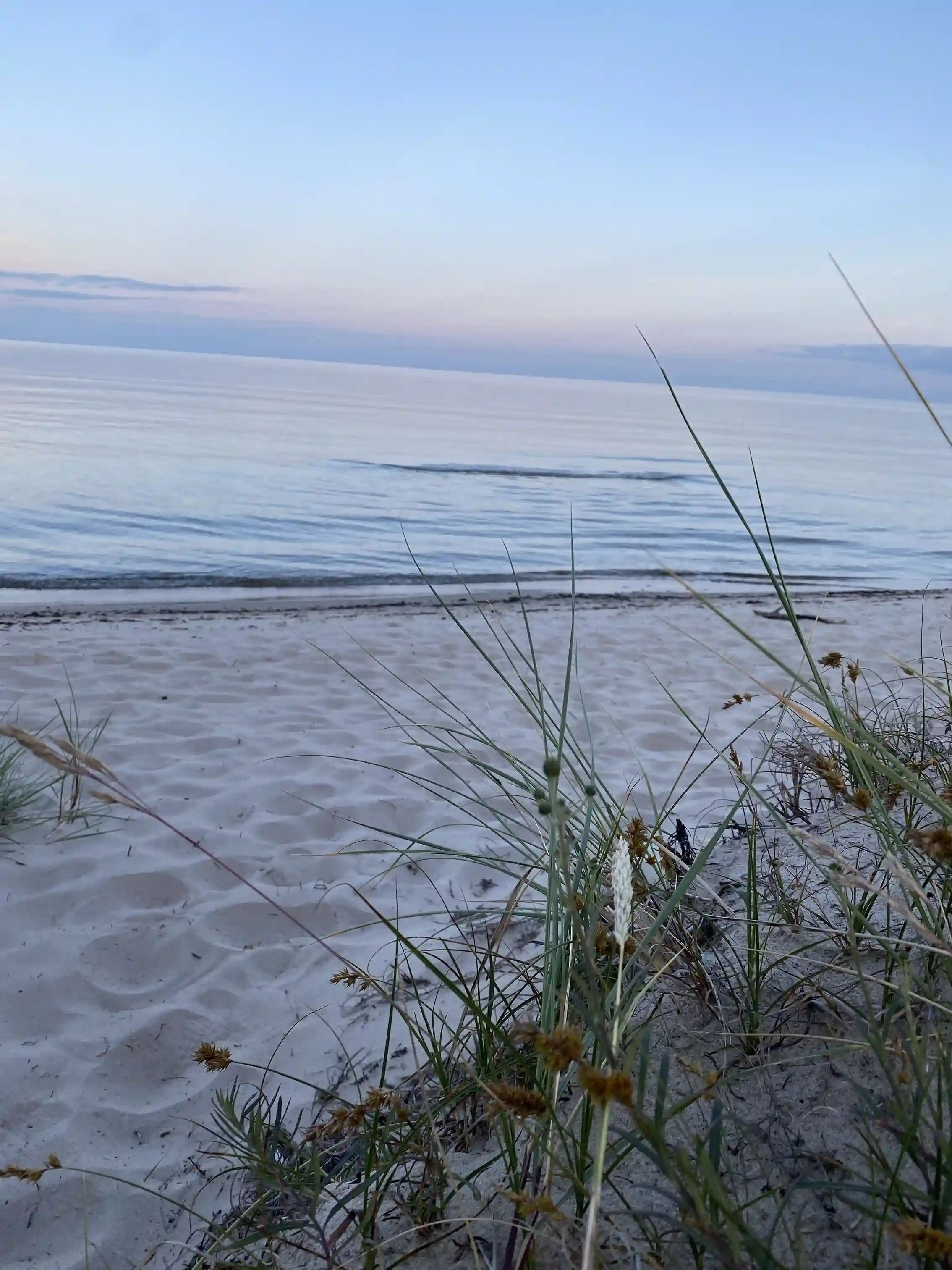 Bild av Åhus Missionsgård, med en vidsträckt kustlinje där stranden möter det glittrande havet under en klar horisont.