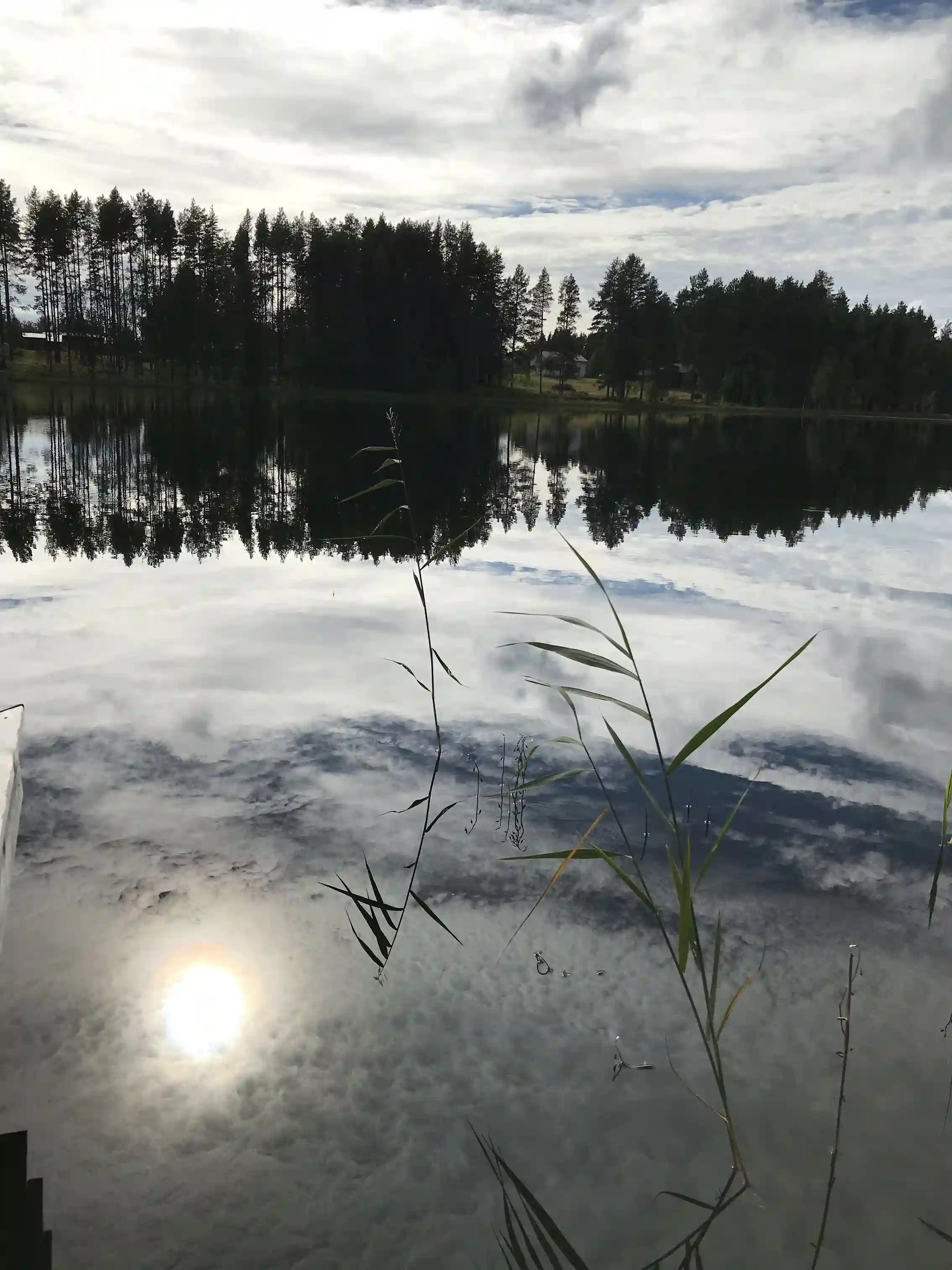 En lugn vattenspegel vid Rossön Camping, omgiven av grönskande natur och skogsklädda strandkanter under en molnig himmel.
