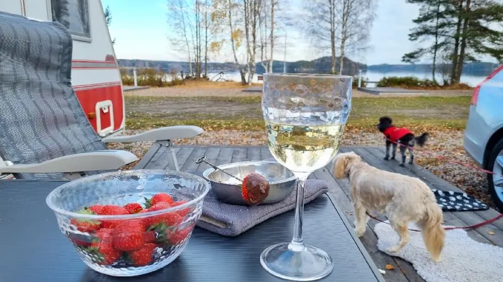 En trevligt dukad middagsbord med tallrikar, glas och bestick, samt utrymme för mat och dryck i en mysig och hemtrevlig miljö.