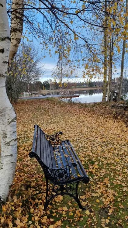 En gul träbänk placerad utomhus bland höstlöv och grenar.