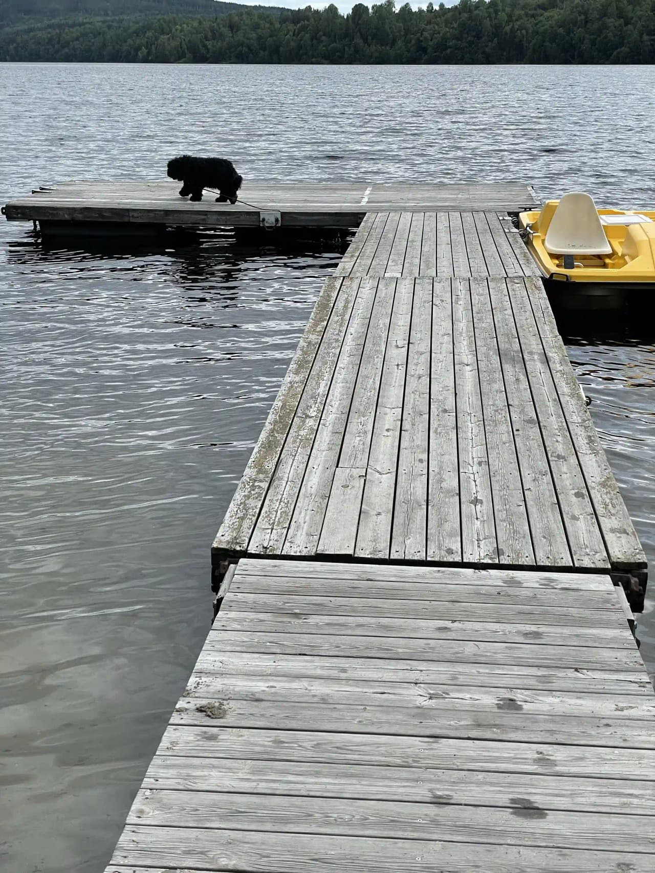 En träbrygga sträcker sig ut över en lugn sjö vid Kävsta Camping, omgiven av skog och natur.